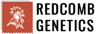 Redcomb Genetics